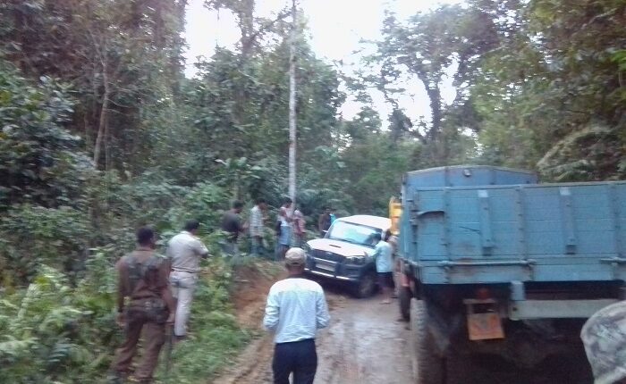 Assam Forest