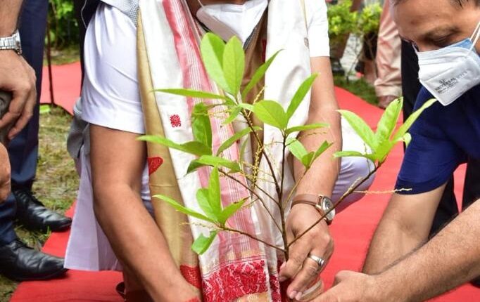 World Environment Day