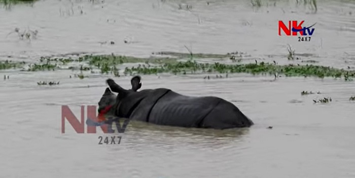 Kaziranga National Park